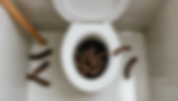 Comment prévenir l'apparition de vers dans mes toilettes ?