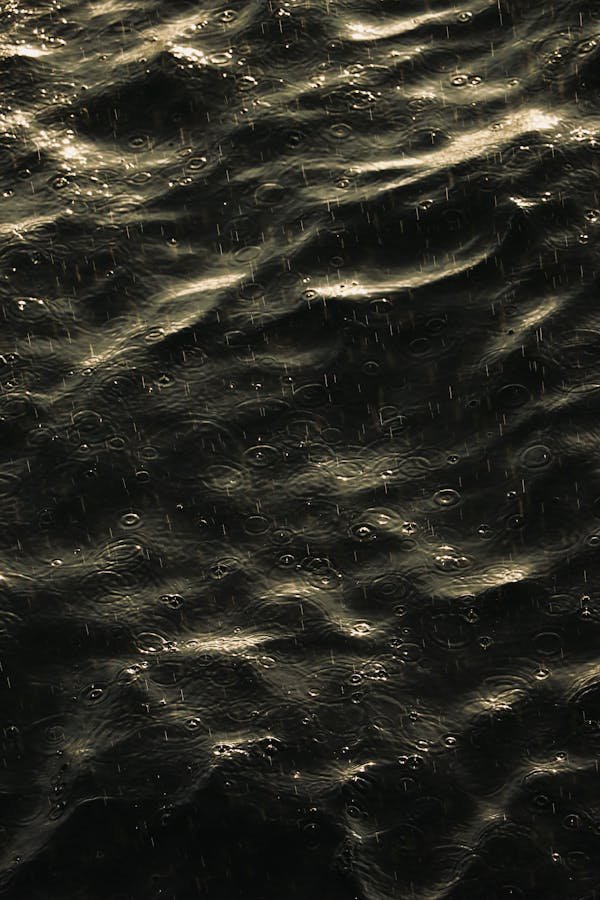 Récupérateur d'eau de pluie : simplifiez votre transition écolo